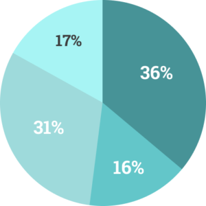 Pie Chart showing breakdown by race and gender